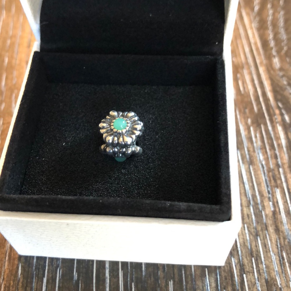 💯 Authentic Pandora Charm